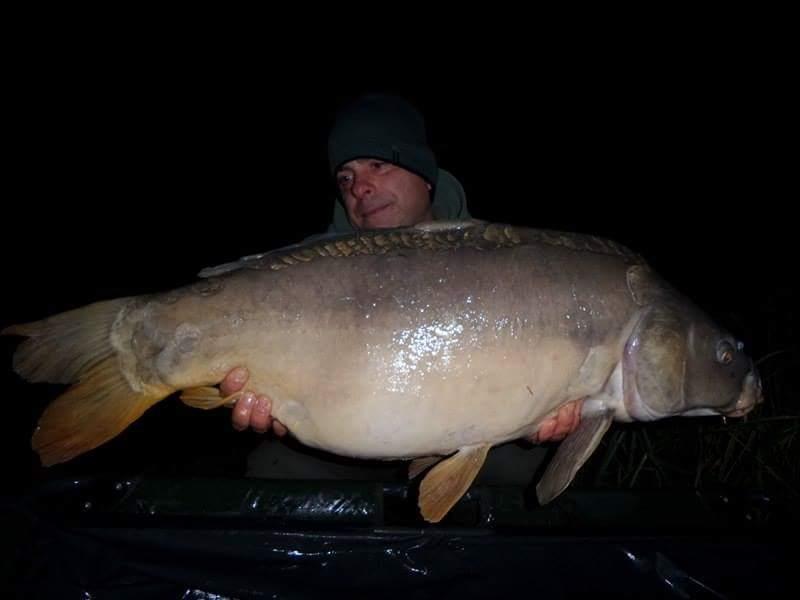 Carpfishing la modul meu 2015 - 1230835710638366503071974727291525020044274n.jpg